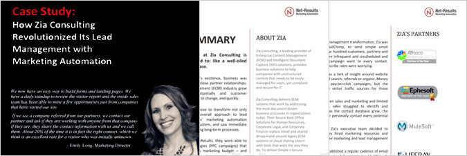 Case Study - Zia Consulting Screenshot: Case Study - Zia Consulting